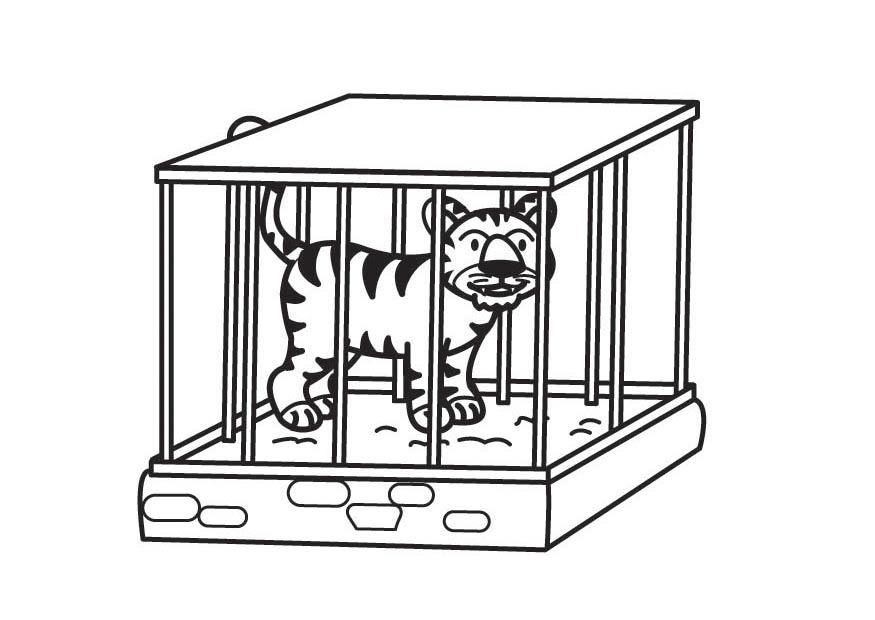 tiger i bur Fargeleggingsbilde tiger i bur