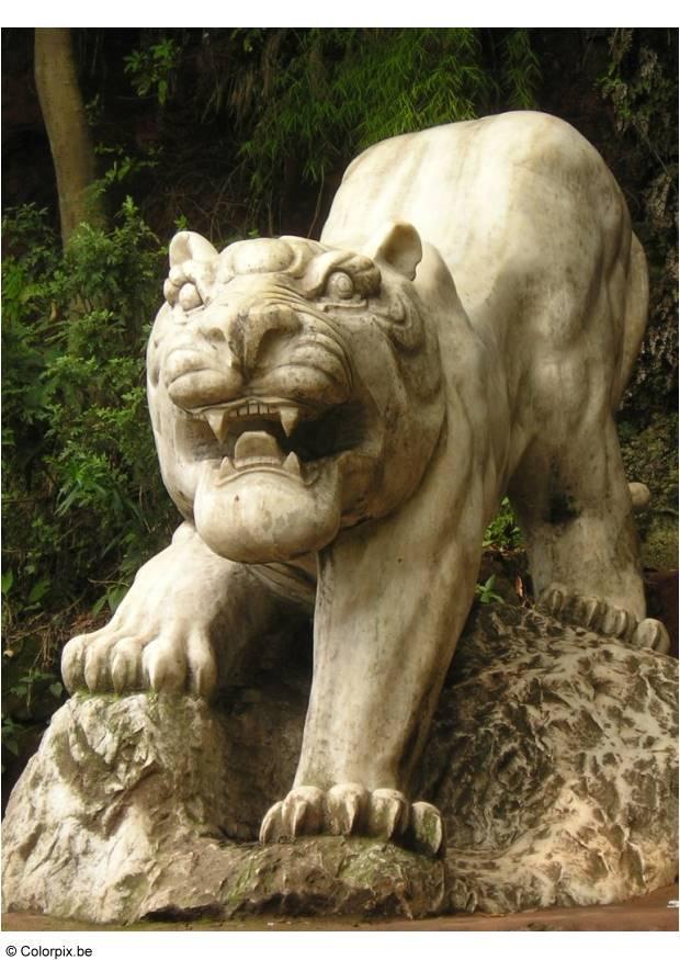 tiger i leshan-parken Foto tiger i leshan-parken