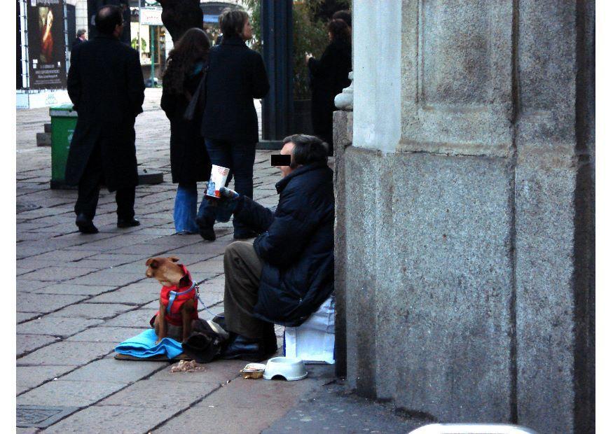 Foto tiggere i milano
