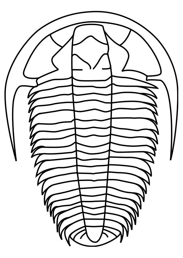 Fargeleggingsbilde trilobitt