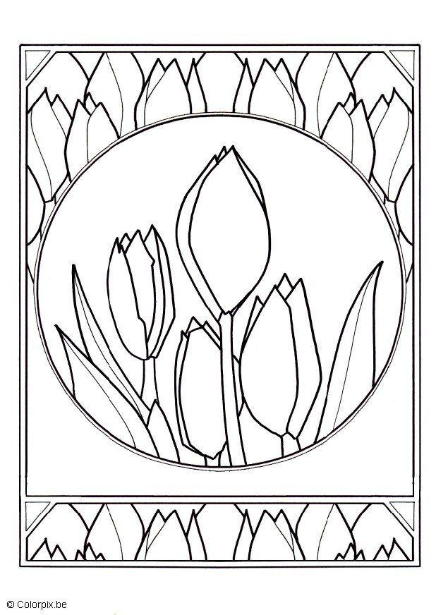 tulipaner Fargeleggingsbilde tulipaner