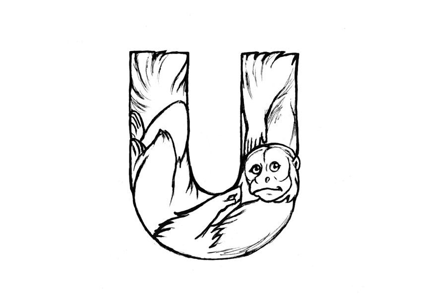 u-uakari Fargeleggingsbilde u-uakari