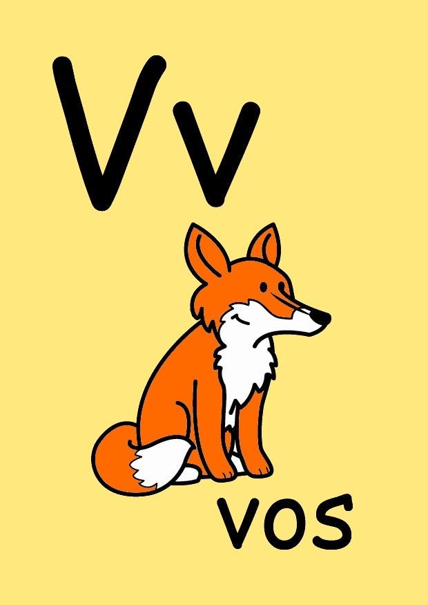 v bilde v