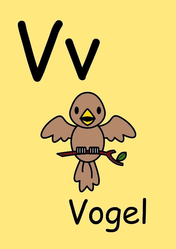 v bilde v