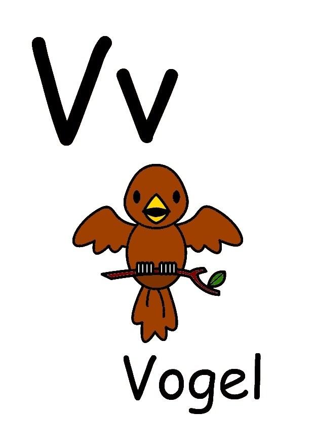 v bilde v