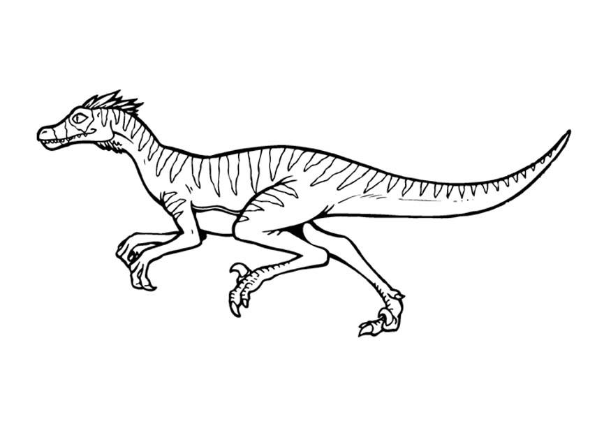 velociraptor Fargeleggingsbilde velociraptor