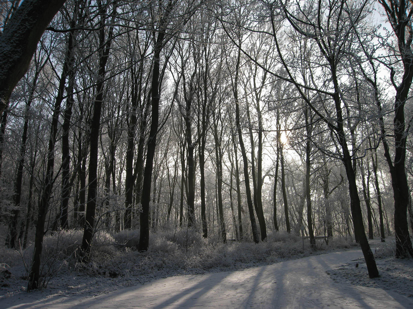 vinter Foto vinter