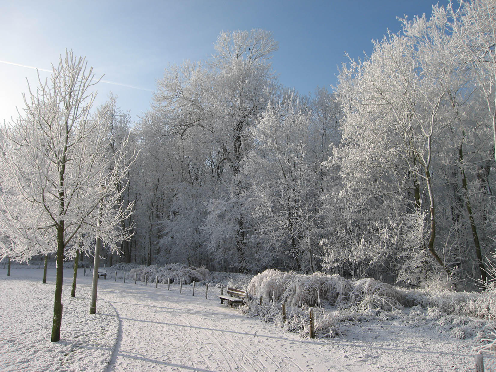 vinter Foto vinter