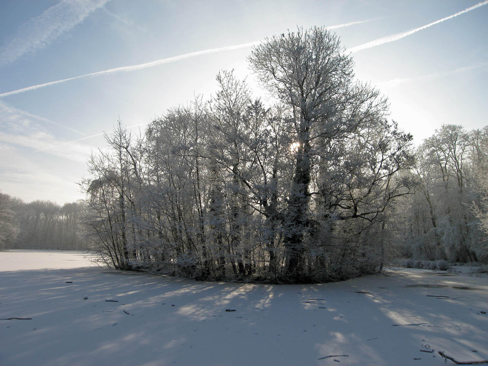vinter Foto vinter