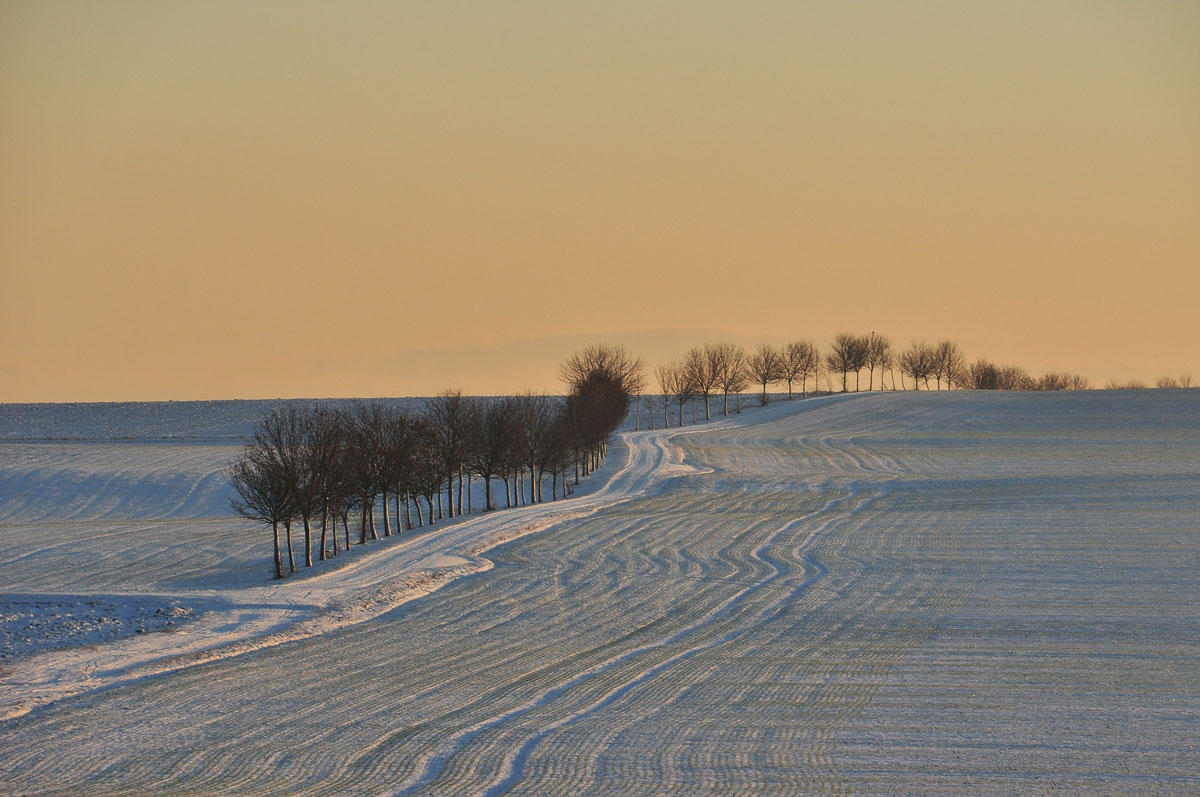 vinter scene Foto vinter scene