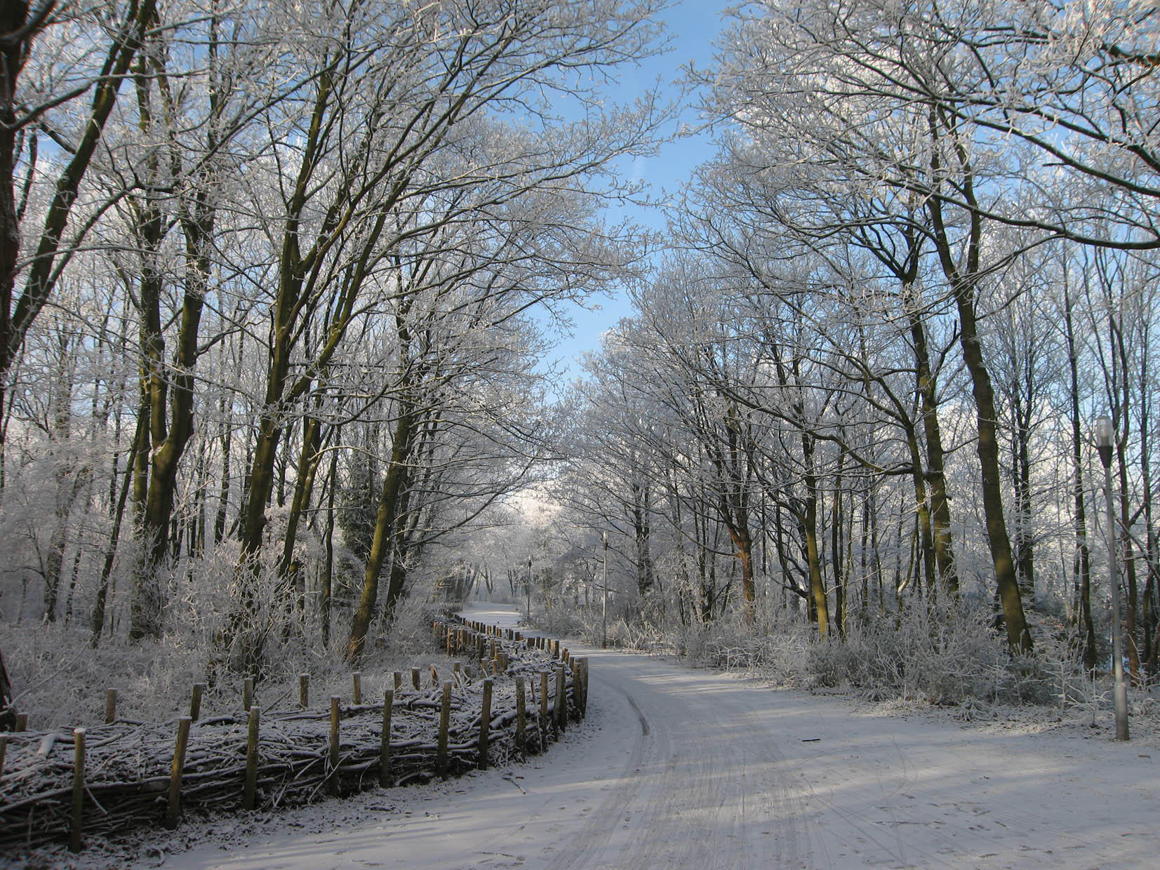 vinterlandskap Foto vinterlandskap