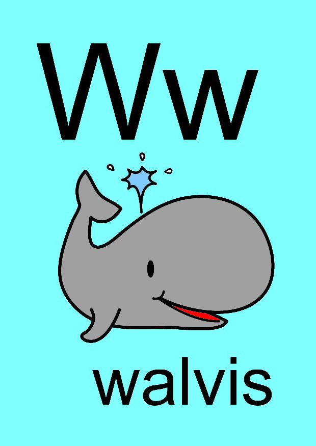 bilde w