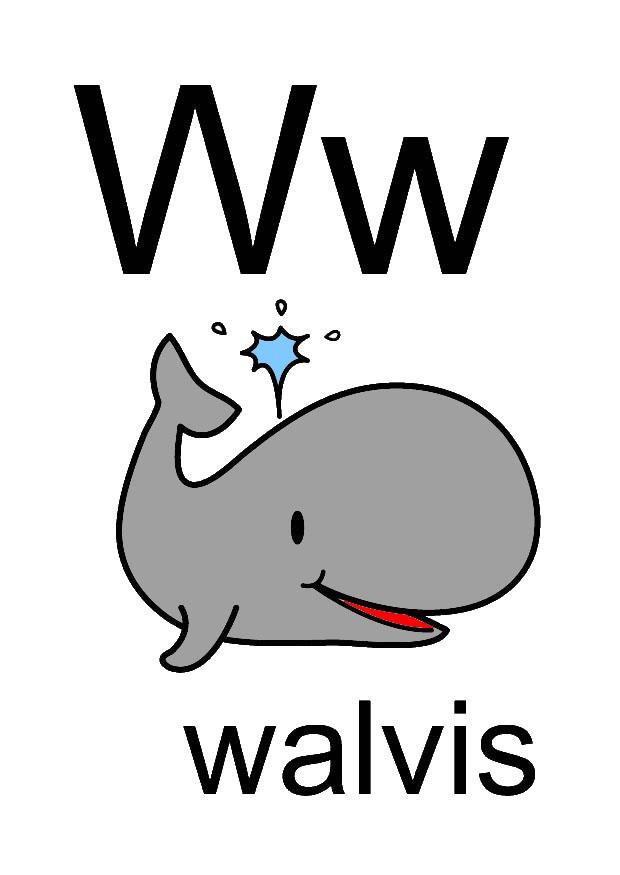 bilde w