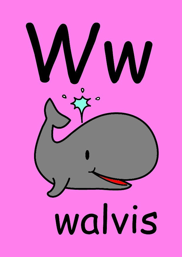 bilde w