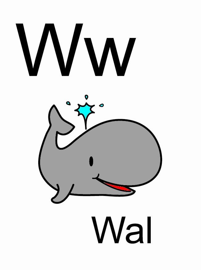 bilde w