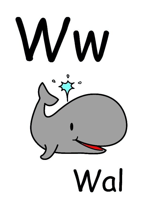 w bilde w