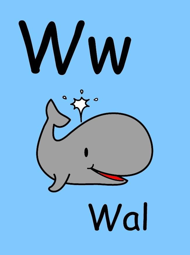 bilde w
