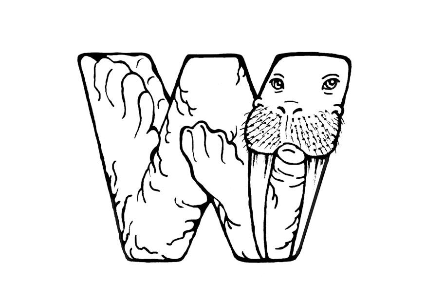 w-walrus Fargeleggingsbilde w-walrus