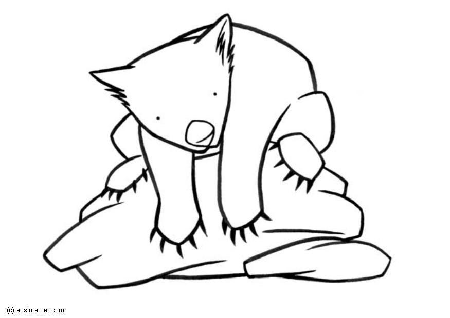 wombat Fargeleggingsbilde wombat