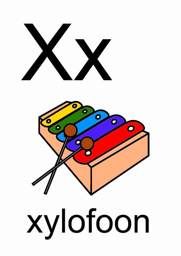 x bilde x