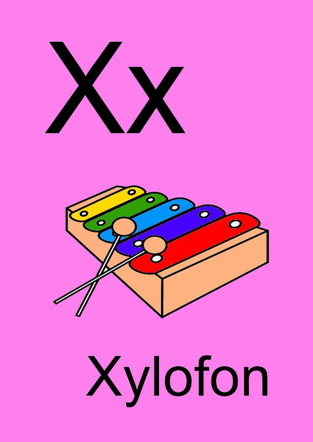 x bilde x