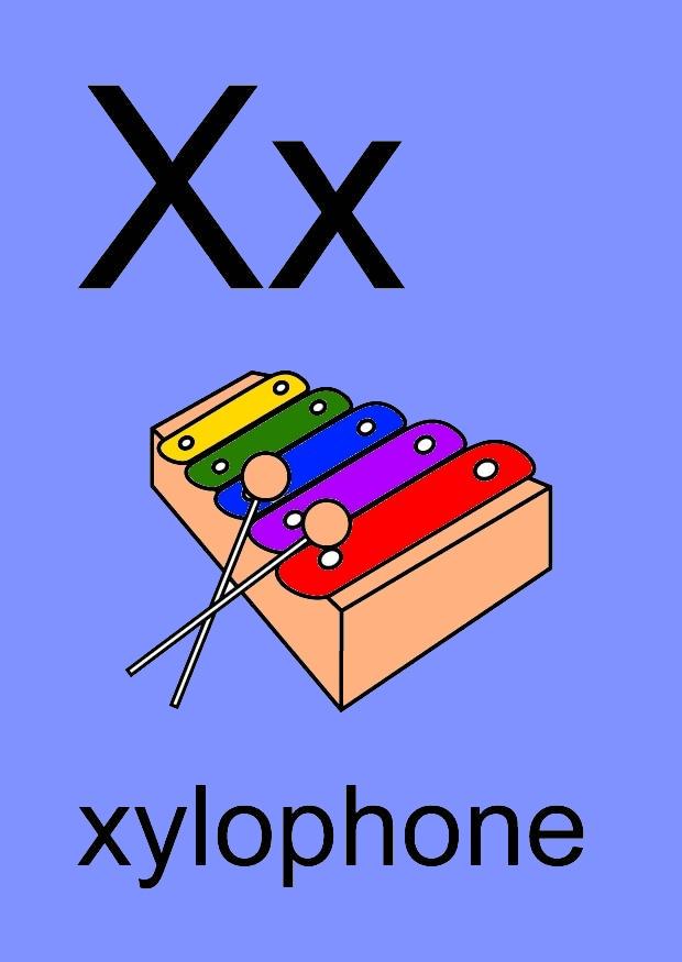 x bilde x