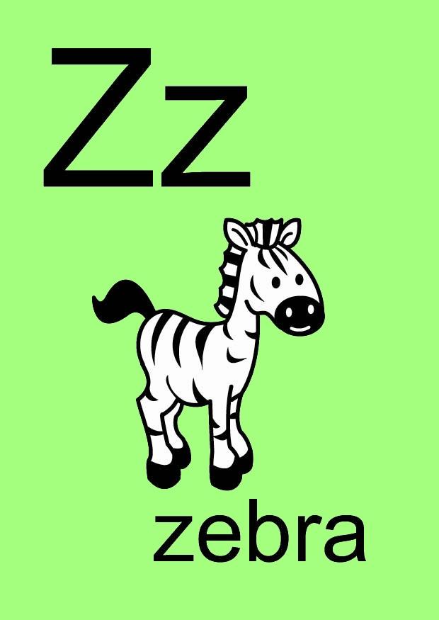 bilde z