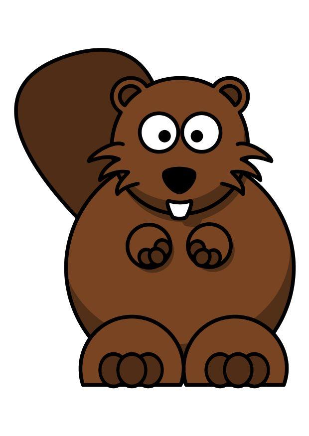 z1 - bever bilde z1 - bever