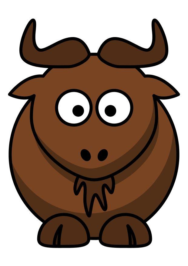 z1 - buffalo bilde z1 - buffalo