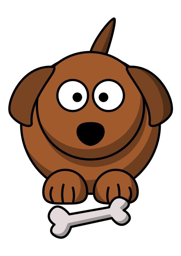 z1 - hund bilde z1 - hund